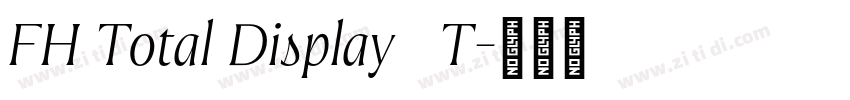 FH Total Display   T字体转换